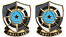 Army Cyber Protection Unit Crest